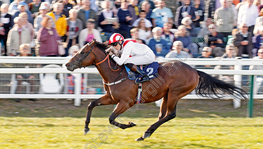 Futuristic-0004 
 FUTURISTIC (Callum Shepherd) wins The Moulton Nurseries Of Acle Novice Stakes
Yarmouth 17 Sep 2019 - Pic Steven Cargill / Racingfotos.com