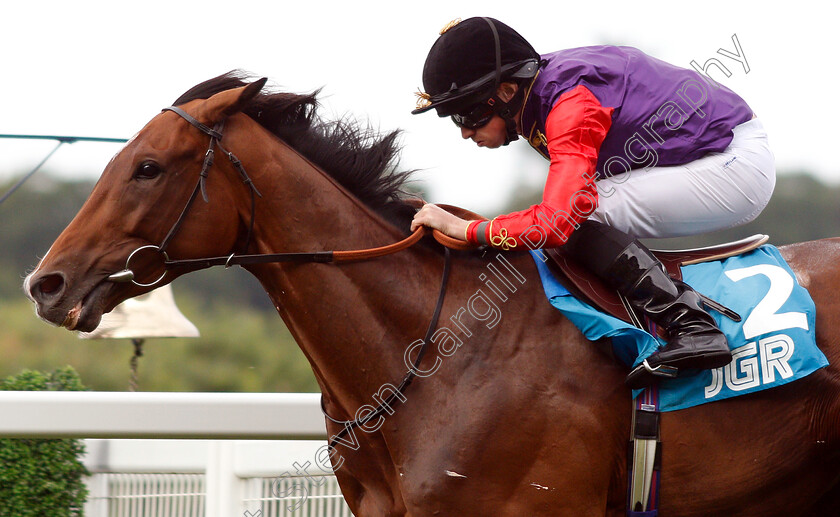 Sextant-0007 
 SEXTANT (Ryan Moore) wins The John Guest Racing Handicap
Ascot 26 Jul 2019 - Pic Steven Cargill / Racingfotos.com