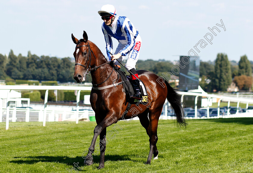 History-Writer-0002 
 HISTORY WRITER (Fran Berry)
Sandown 1 Sep 2018 - PIc Steven Cargill / Racingfotos.com