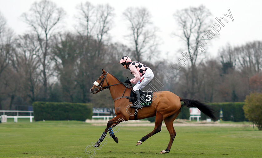 Sensulano-0002 
 SENSULANO (Barry Geraghty)
Sandown 5 Jan 2019 - Pic Steven Cargill / Racingfotos.com