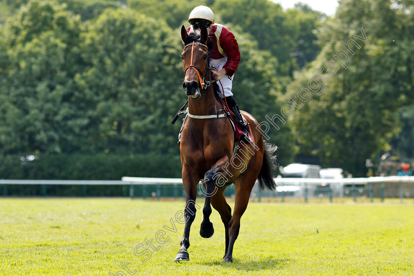 Heartache-0002 
 HEARTACHE (Martin Harley)
Haydock 26 May 2018 - Pic Steven Cargill / Racingfotos.com