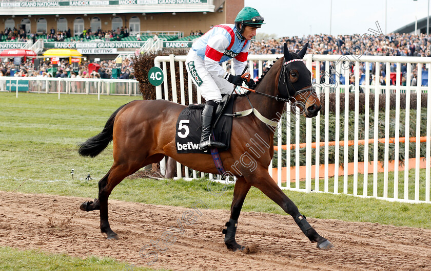 Rouge-Vif-0001 
 ROUGE VIF (Daryl Jacob) 
Aintree 5 Apr 2019 - Pic Steven Cargill / Racingfotos.com