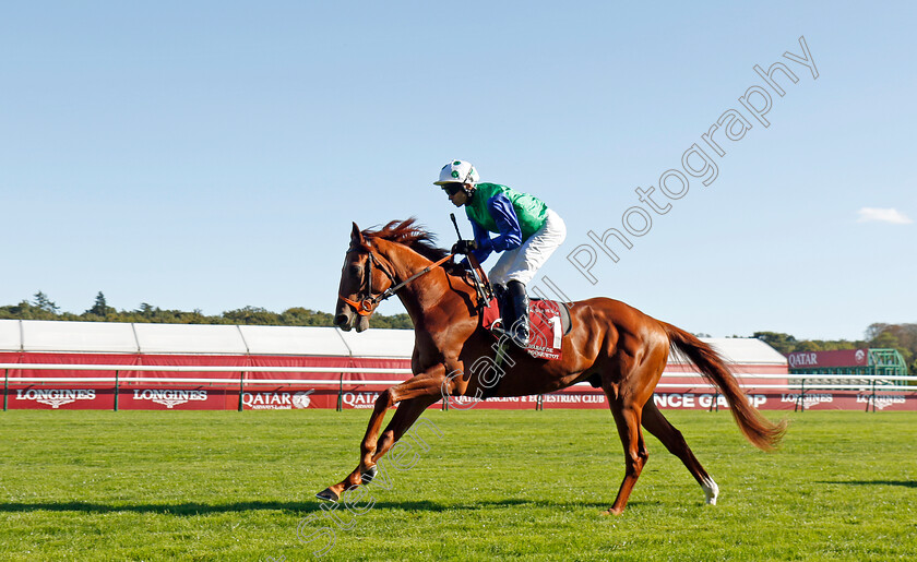 Brise-Noir-0001 
 BRISE NOIR (Sean Levey)
Longchamp 5 Oct 2024 - Pic Steven Cargill / Racingfotos.com