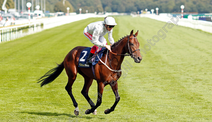 Charles-Kingsley-0001 
 CHARLES KINGSLEY (Frankie Dettori)
Doncaster 13 Sep 2019 - Pic Steven Cargill / Racingfotos.com