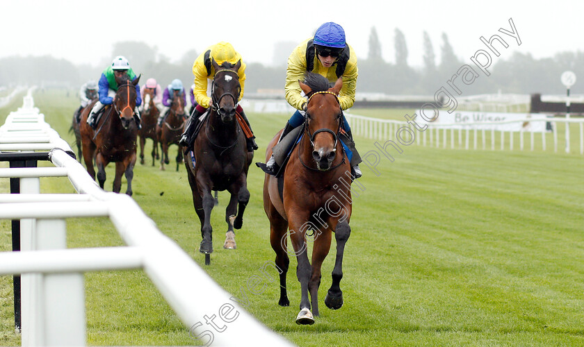 Mottrib-0003 
 MOTTRIB (David Egan) wins The Be Wiser Insurance Novice Stakes
Newbury 13 Jun 2019 - Pic Steven Cargill / Racingfotos.com