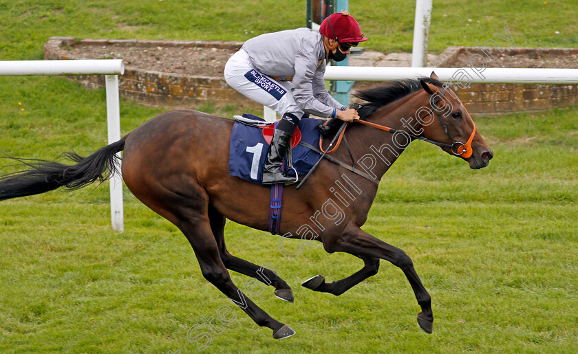 Aljalela-0005 
 ALJALELA (Thore Hammer Hansen) wins The Heed Your Hunch At Betway Handicap
Lingfield 7 Sep 2020 - Pic Steven Cargill / Racingfotos.com