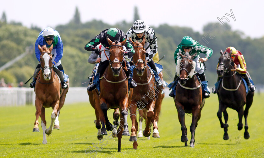 Sagauteur-0003 
 SAGAUTEUR (Matthew Ennis) wins The Constant Security Gentlemen Amateur Riders Handicap
York 10 Jun 2022 - Pic Steven Cargill / Racingfotos.com