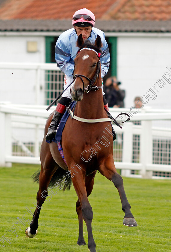 Fenlander-0001 
 FENLANDER (Shane Kelly)
Yarmouth 16 Oct 2023 - Pic Steven Cargill / Racingfotos.com