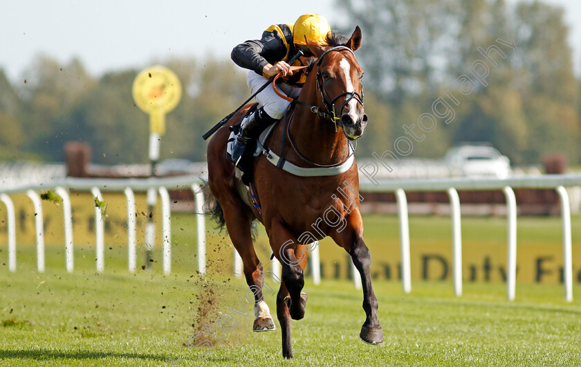 Whenthedealinsdone-0005 
 WHENTHEDEALINSDONE (Jason Watson) wins The British Stallion Studs EBF Maiden Stakes
Newbury 18 Sep 2020 - Pic Steven Cargill / Racingfotos.com