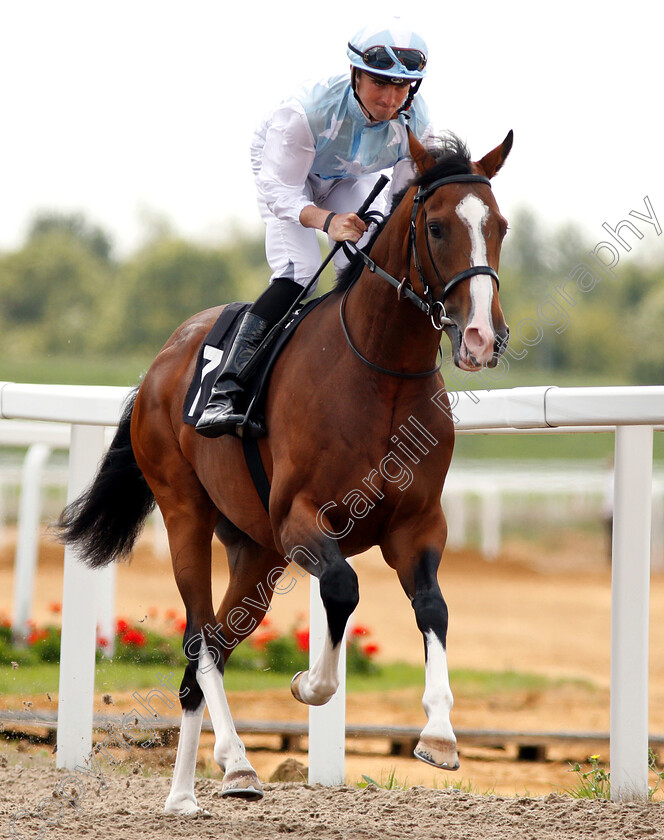 Roma-Bangkok-0001 
 ROMA BANGKOK (Marc Monaghan) before winning The East Coast IPA Novice Stakes
Chelmsford 30 Aug 2018 - Pic Steven Cargill / Racingfotos.com