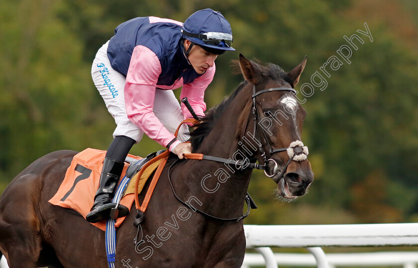 Fleeting-Moment-0003 
 FLEETING MOMENT (Richad Kingscote)
Kempton 2 Oct 2024 - pic Steven Cargill / Racingfotos.com