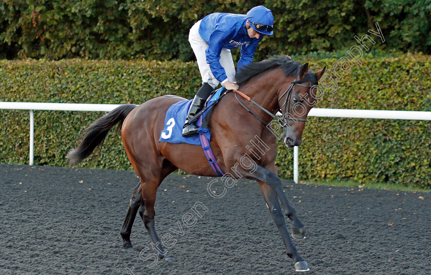 First-View-0001 
 FIRST VIEW (Hector Crouch) winner of The 32Red Casino EBF Novice Stakes
Kempton 2 Oct 2019 - Pic Steven Cargill / Racingfotos.com