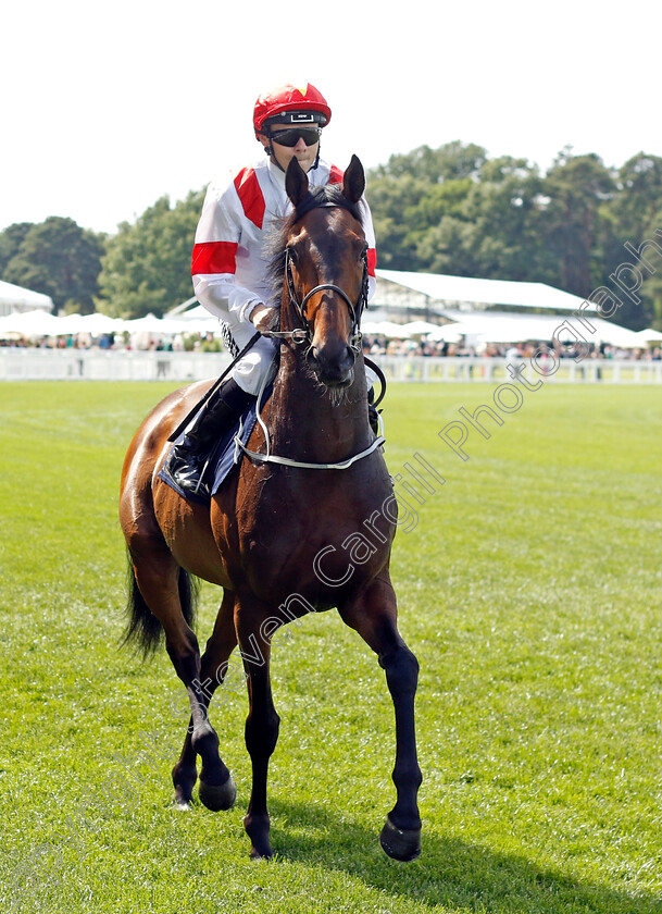 Ruler-Legend-0001 
 RULER LEGEND (Jamie Spencer)
Royal Ascot 15 Jun 2022 - Pic Steven Cargill / Racingfotos.com