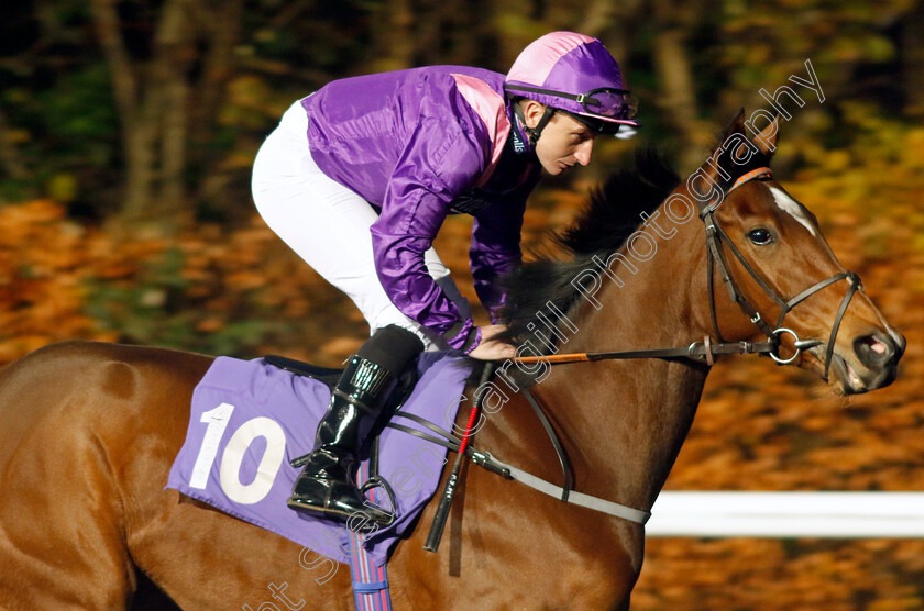 State-Flag-0001 
 STATE FLAG (P J McDonald)
Kempton 6 Dec 2023 - Pic Steven Cargill / Racingfotos.com