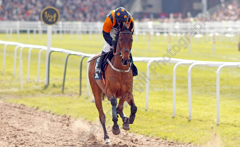 Meet-And-Greet-0001 
 MEET AND GREET (Phillip Enright)
Aintree 15 Apr 2023 - Pic Steven Cargill / Racingfotos.com