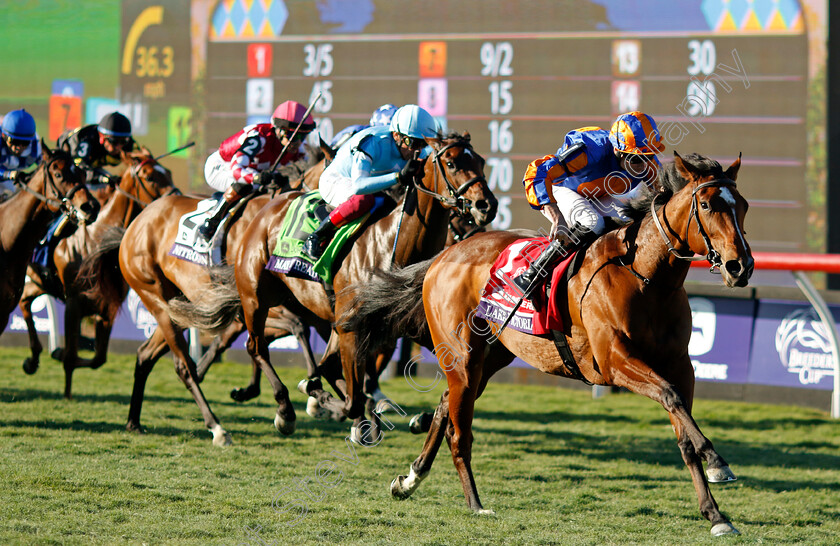 Lake-Victoria-0003 
 LAKE VICTORIA (Ryan Moore) wins the Breeders' Cup Juvenile Fillies Turf
Del Mar USA 1 Nov 2024 - Pic Steven Cargill / Racingfotos.com