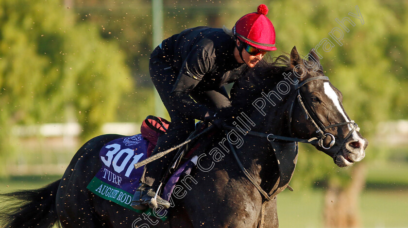 Auguste-Rodin-0006 
 AUGUSTE RODIN training for the Breeders' Cup Turf
Santa Anita USA, 1 Nov 2023 - Pic Steven Cargill / Racingfotos.com