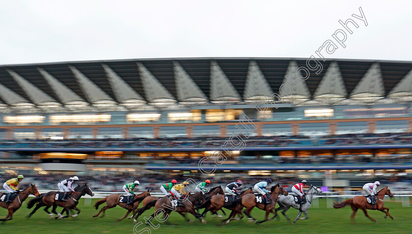 Didtheyleaveuoutto-0002 
 The field pass the stands during The St Andrews Holdings Championship Standard Open National Hunt Flat Race won by DIDTHEYLEAVEUOUTTO (2) Ascot 22 Dec 2017 - Pic Steven Cargill / Racingfotos.com