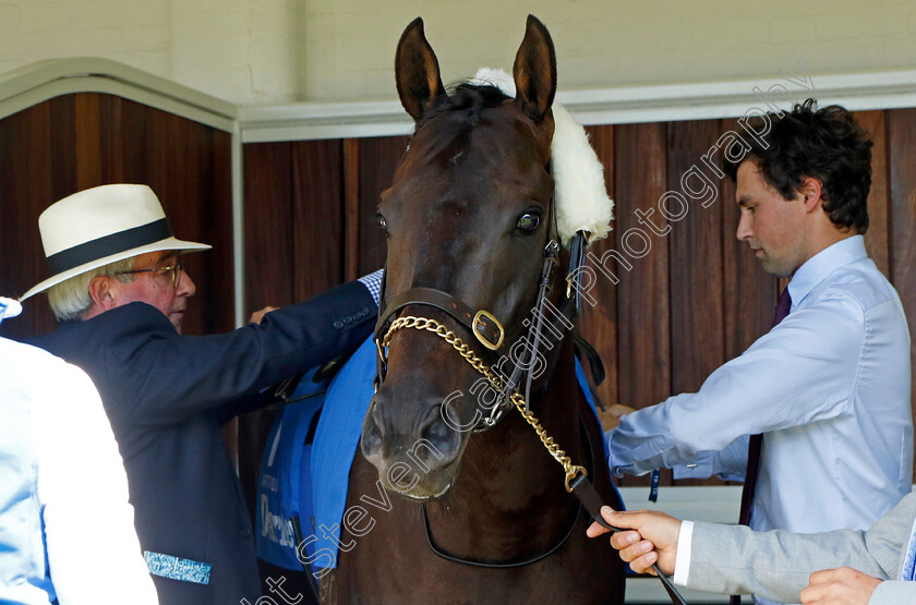 Artorius-0001 
 ARTORIUS with Sam Freedman before The Darley July Cup
Newmarket 9 Jul 2022 - Pic Steven Cargill / Racingfotos.com