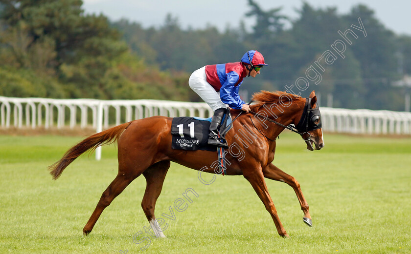 Unless-0001 
 UNLESS (Seamie Heffernan)
The Curragh 10 Sep 2023 - Pic Steven Cargill / Racingfotos.com