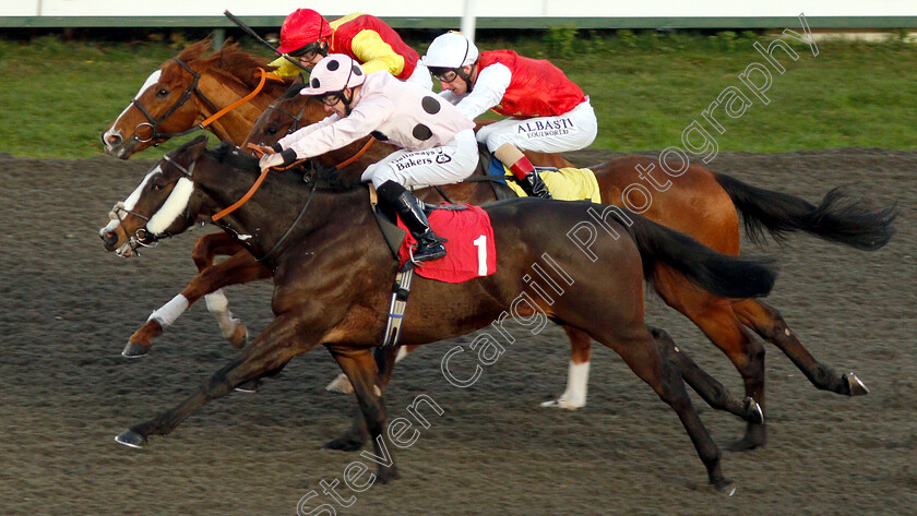 Chiefofchiefs-0004 
 CHIEFOFCHIEFS (Richard Kingscote) beats FAMILY FORTUNES (farside) in The 32Red.com Handicap
Kempton 4 Jan 2019 - Pic Steven Cargill / Racingfotos.com