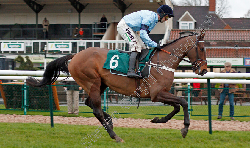 Felony-0003 
 FELONY (Nico de Boinville)
Warwick 12 Dec 2019 - Pic Steven Cargill / Racingfotos.com