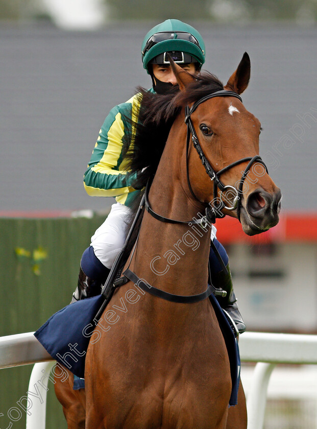 Festive-Star-0002 
 FESTIVE STAR (Silvestre De Sousa)
Yarmouth 16 Sep 2020 - Pic Steven Cargill / Racingfotos.com