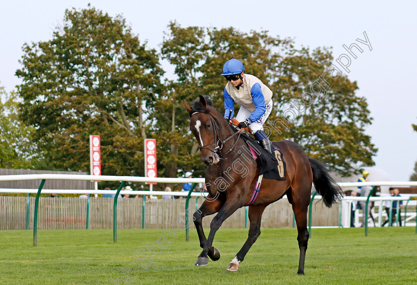 Mulciber-0001 
 MULCIBER (Marco Ghiani)
Newmarket 7 Oct 2023 - Pic Steven Cargill / Racingfotos.com