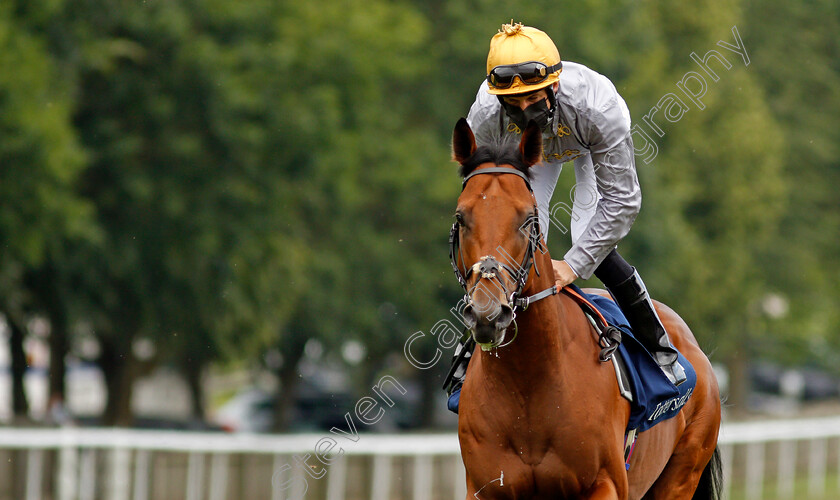 Lusail-0003 
 LUSAIL (Pat Dobbs) winner of The Tattersalls July Stakes
Newmarket 8 Jul 2021 - Pic Steven Cargill / Racingfotos.com