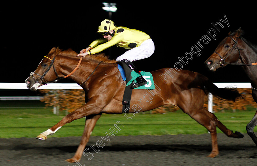 Flavius-Titus-0002 
 FLAVIUS TITUS (Jack Mitchell) wins The 32Red Casino EBFstallions.com Novice Stakes Div1 Kempton 22 Nov 2017 - Pic Steven Cargill / Racingfotos.com