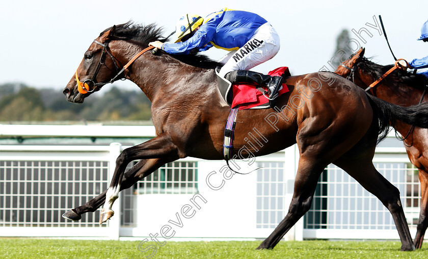 Walkinthesand-0006 
 WALKINTHESAND (Tom Marquand) wins The Smarkets Conditions Stakes
Sandown 19 Sep 2018 - Pic Steven Cargill / Racingfotos.com