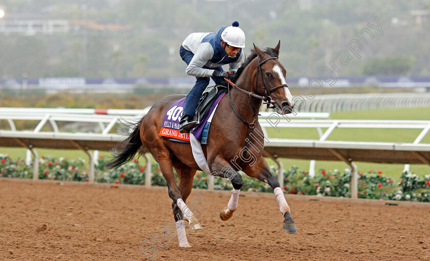 Grand-Jete-0001 
 GRAND JETE training for The Breeders' Cup Filly & Mare Turf at Del Mar USA 31 Oct 2017 - Pic Steven Cargill / Racingfotos.com