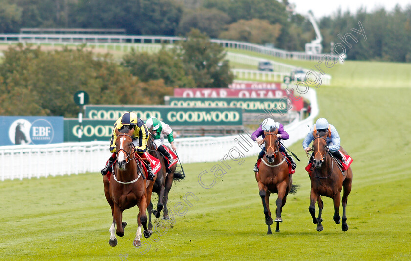 Isabella-Giles-0003 
 ISABELLA GILES (Adam Kirby) wins The Ladbrokes Prestige Stakes
Goodwood 29 Aug 2020 - Pic Steven Cargill / Racingfotos.com