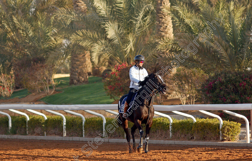 Songline-0003 
 SONGLINE training for The Turf Sprint
King Abdulaziz Racetrack, Riyadh, Saudi Arabia 22 Feb 2022 - Pic Steven Cargill / Racingfotos.com