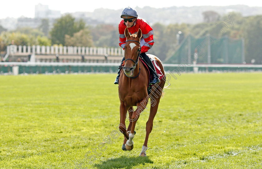 Plegastell-0001 
 PLEGASTELL (P C Boudot)
Longchamp 6 Oct 2019 - Pic Steven Cargill / Racingfotos.com