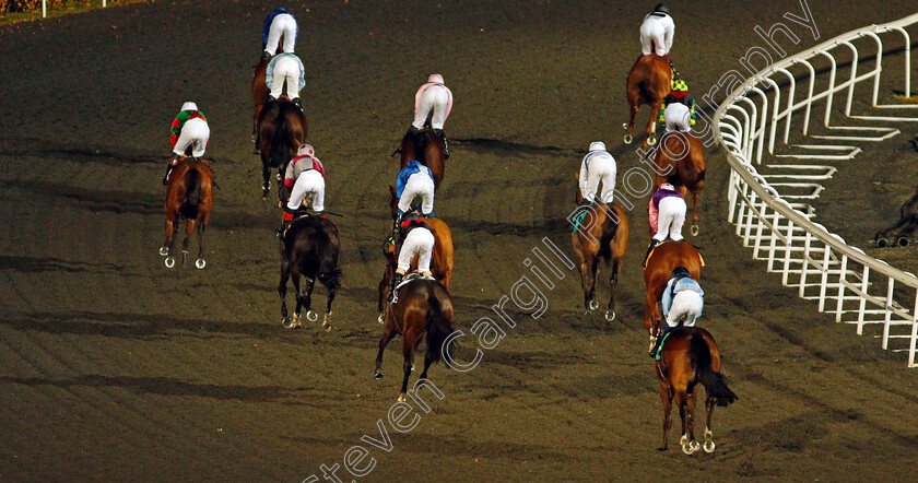 Kempton-0002 
 Horses pull up after a race 
Kempton 10 Nov 2021 - Pic Steven Cargill / Racingfotos.com