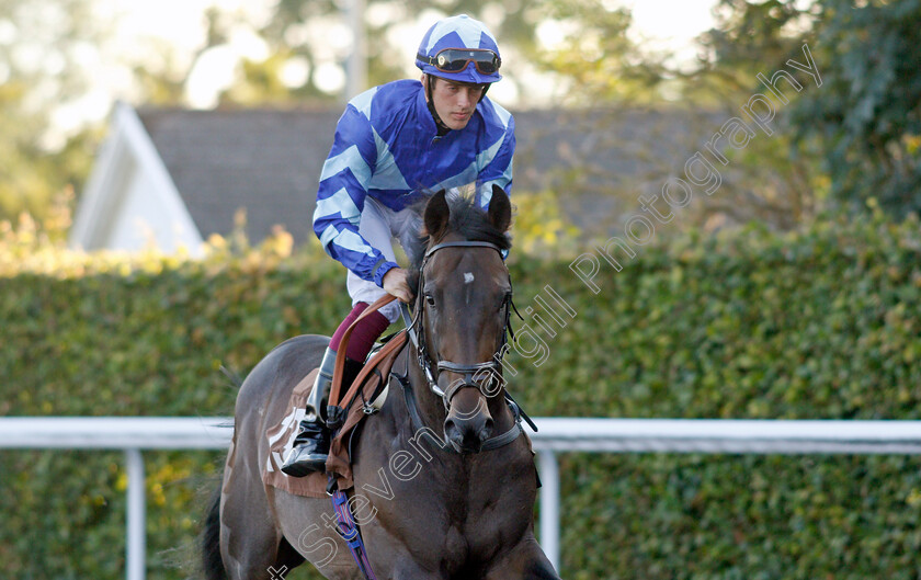 Sun-Emperor-0001 
 SUN EMPEROR (George Downing)
Kempton 4 Aug 2021 - Pic Steven Cargill / Racingfotos.com