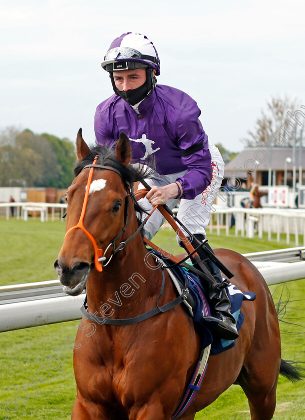 Magic-Warrior-0001 
 MAGIC WARRIOR (Rossa Ryan)
York 12 May 2021 - Pic Steven Cargill / Racingfotos.com