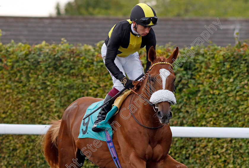 Urban-Glimpse-0001 
 URBAN GLIMPSE (Oisin Murphy) 
Kempton 28 Aug 2024 - Pic Steven Cargill / Racingfotos.com