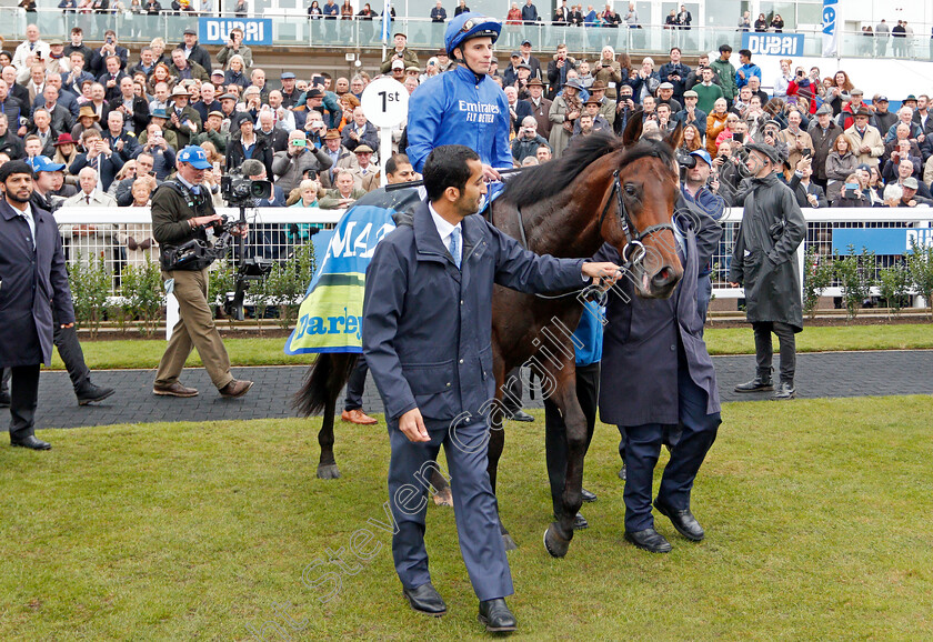 Pinatubo-0016 
 PINATUBO (William Buick) after The Darley Dewhurst Stakes
Newmarket 12 Oct 2019 - Pic Steven Cargill / Racingfotos.com