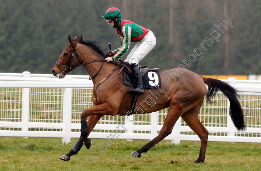 Skinflint-0001 
 SKINFLINT (Michael Heard) Newbury 10 Feb 2018 - Pic Steven Cargill / Racingfotos.com