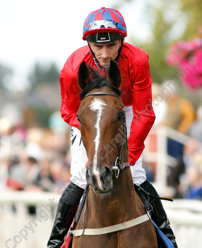 Mekong-0001 
 MEKONG (Daniel Tudhope)
York 25 Aug 2018 - Pic Steven Cargill / Racingfotos.com