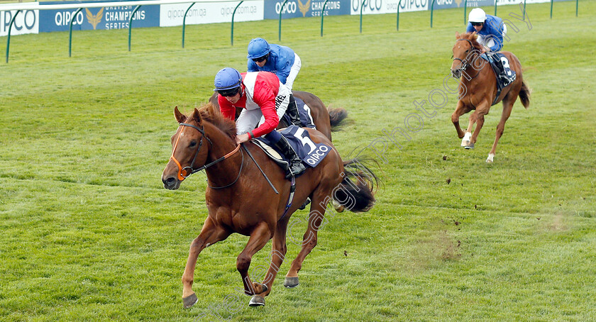 Threat-0003 
 THREAT (Tom Marquand) wins The Hot Streak Maiden Stakes
Newmarket 5 May 2019 - Pic Steven Cargill / Racingfotos.com