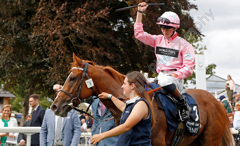 Live-In-The-Dream-0013 
 LIVE IN THE DREAM (Sean Kirrane) winner of The Coolmore Nunthorpe Stakes
York 25 Aug 2023 - Pic Steven Cargill / Racingfotos.com