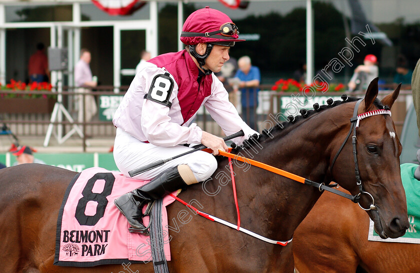 Raa-Atoll-0001 
 RAA ATOLL (Jozef Bojko)
Belmont Park 7 Jun 2019 - Pic Steven Cargill / Racingfotos.com