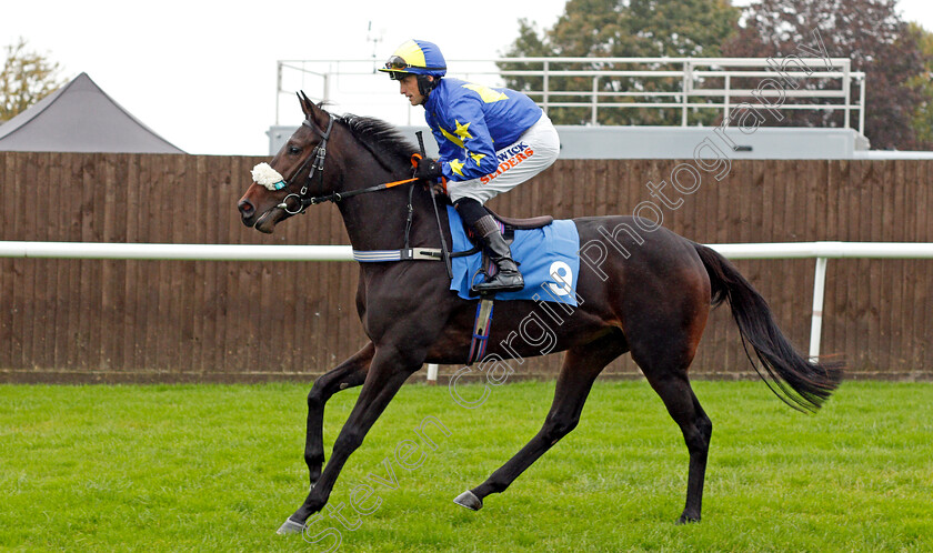 Funky-Town-Pinkie 
 FUNKY TOWN PINKIE (Trevor Whelan)
Leicester 12 Oct 2021 - Pic Steven Cargill / Racingfotos.com