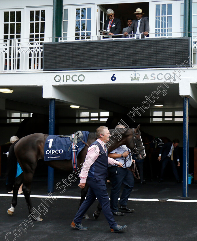 Auguste-Rodin-0003 
 AUGUSTE RODIN 
Ascot 27 Jul 2024 - Pic Steven Cargill / Racingfotos.com