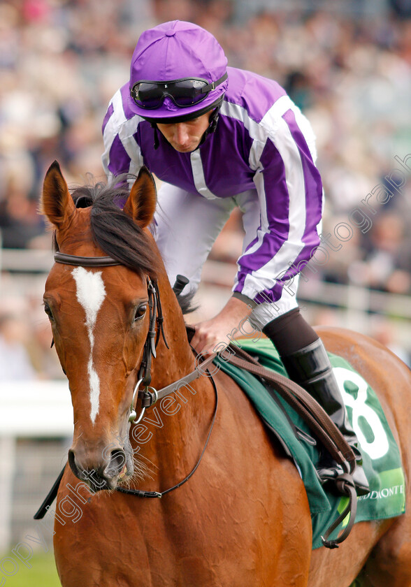 Japan-0002 
 JAPAN (Ryan Moore) before The Juddmonte International Stakes
York 21 Aug 2019 - Pic Steven Cargill / Racingfotos.com