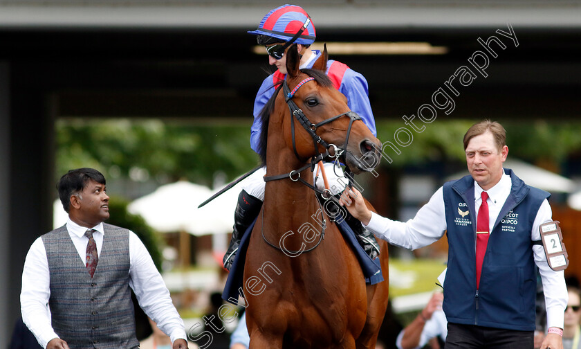 Dubai-Honour-0002 
 DUBAI HONOUR (Tom Marquand)
Ascot 27 Jul 2024 - Pic Steven Cargill / Racingfotos.com