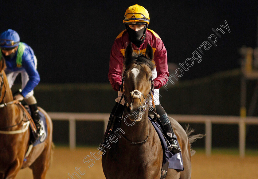 Jaramillo-0001 
 JARAMILLO (Eoin Walsh)
Wolverhampton 24 Nov 2020 - Pic Steven Cargill / Racingfotos.com